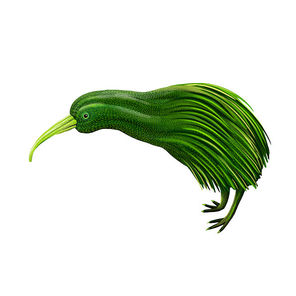 Zucchiwi - Gemüsevögel Kollektion