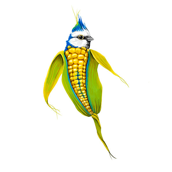 Blaumaise - Kollektion